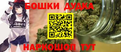 индика Будённовск
