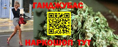 индика Будённовск